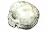 Realistic, Polished Tree Agate Skull #382185-3